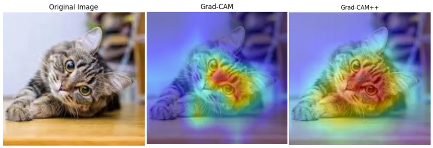Grad-CAMとの違いは？精度が上がった可視化手法Grad-CAM++を解説 – 体験型学習ブログ by zero to one