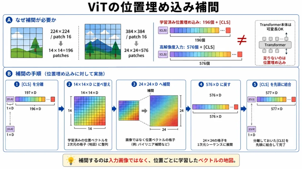 ViT位置埋め込み補間