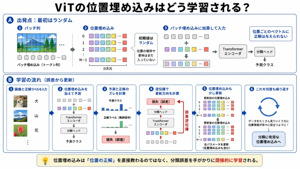 how-to-learning-positional-encoding-vit