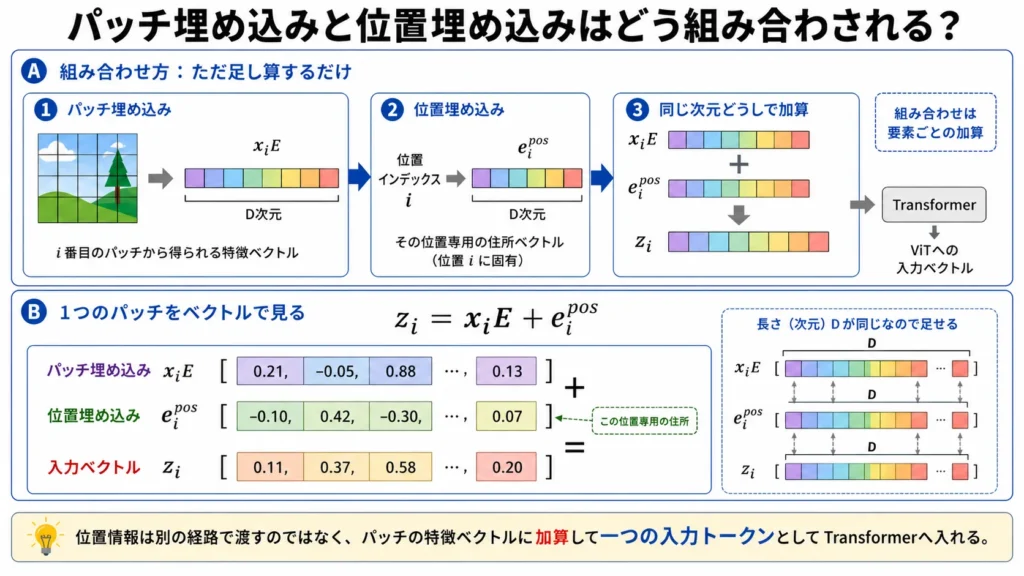 パッチ埋め込みと位置埋め込みの加算